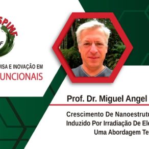 thumb-spimf-unicamp-professor