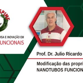 julio-sambrano-unesp-spimf