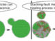 Computational Modeling for the Ag Nanoparticle Coalescence Process: A Case of Surface Plasmon Resonance