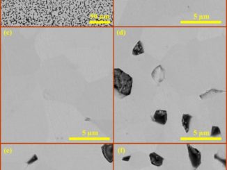 A versatile approach for the preparation of ceramics with porosity gradient_by using manganese and tin oxides as a model
