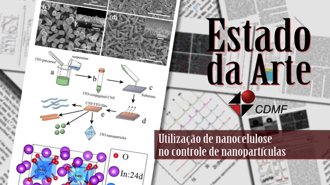 Ludo educativo relança jogos infantis para brincar e aprender em casa -  Centro de Desenvolvimento de Materiais Funcionais CEPID-FAPESP