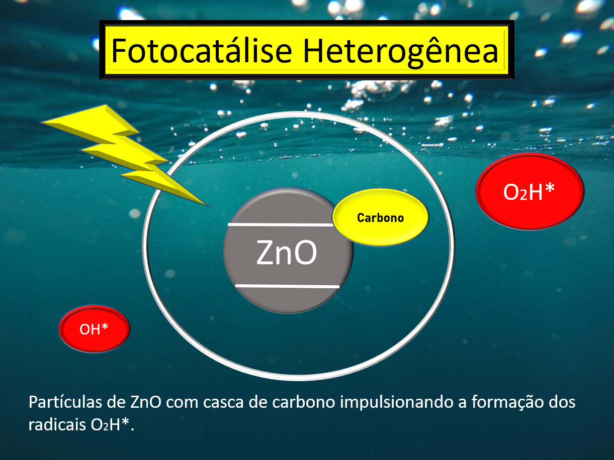 Portal Ludo Educativo lança atividades gratuitas para professores e alunos  - Centro de Desenvolvimento de Materiais Funcionais CEPID-FAPESP