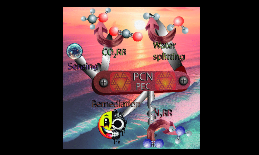 Carbon Nitrides in Photoelectrochemistry: State of the Art and Perspectives Beyond Water Splitting