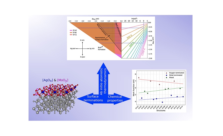 Mapping and characterization of the surface structure and electronic properties of β-Ag2MoO4 from DFT thermodynamic calculations