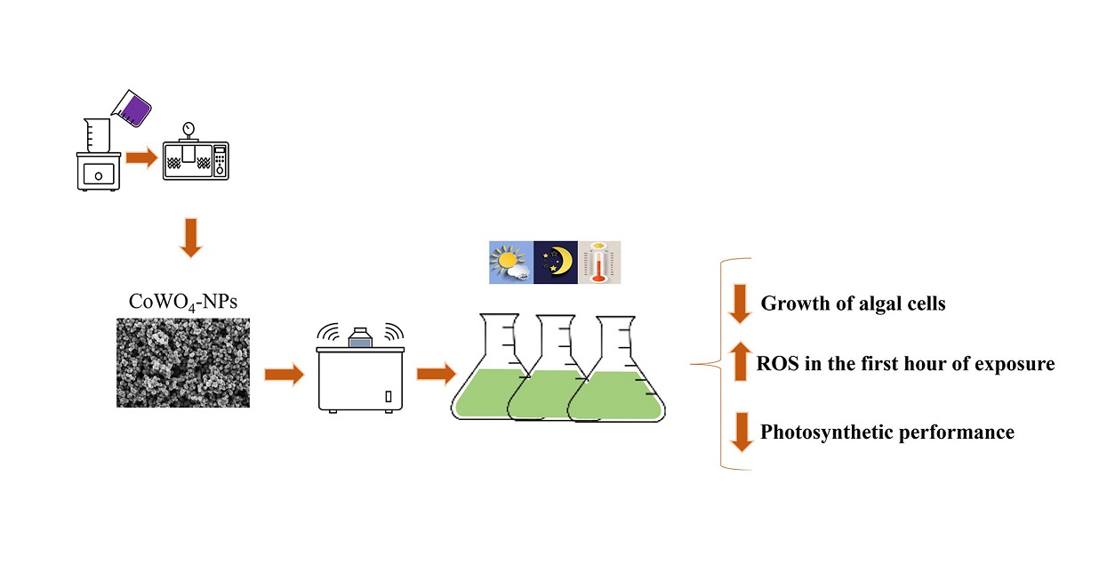 Cobalt tungstate nanoparticles (CoWO4 NPs) affect the photosynthetic performance of the green microalga Raphidocelis subcapitata