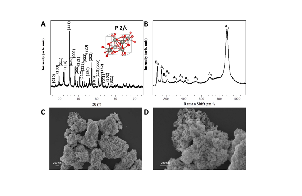 The effects of nickel tungstate nanoparticles (NiWO4 NPs) on freshwater microalga Raphidocelis subcapitata (Chlorophyceae)