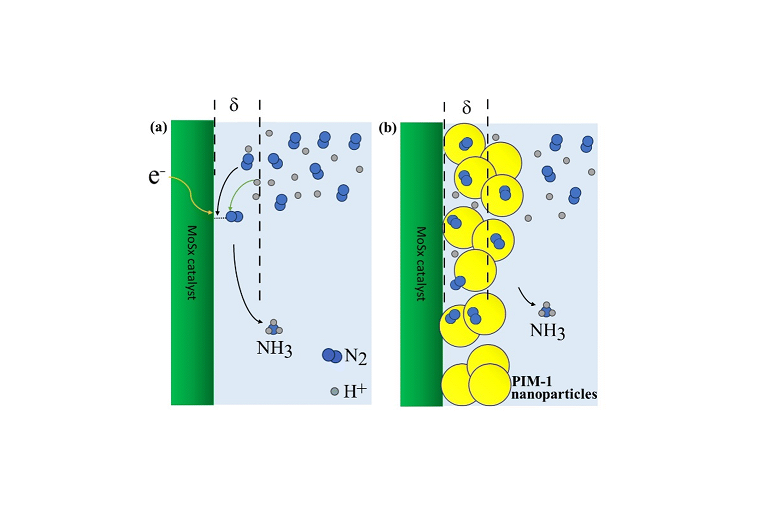 Enhancing the electroreduction of N2 and/or O2 on MoS2 using a nanoparticulate intrinsically microporous polymer (PIM-1)