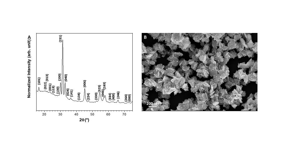 Antimicrobial activity and biocompatibility of alpha-silver tungstate nanoparticles