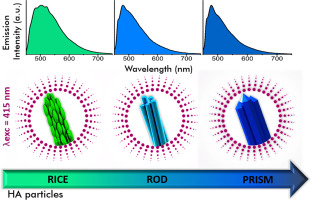 Structural properties and self-activated photoluminescence emissions in hydroxyapatite with distinct particle shapes