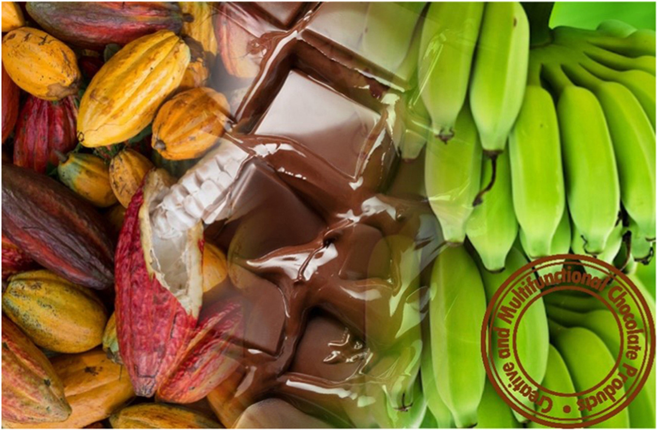 Nutritional value and acceptability of chocolate with high cocoa content and green banana biomass