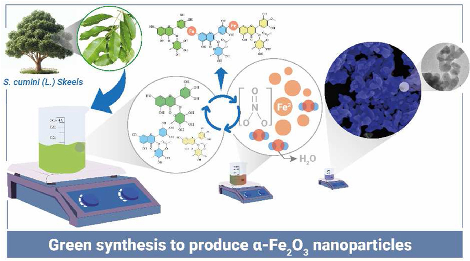 Synthesis of hematite (α-Fe2O3) nanoparticles using Syzygium cumini extract: Photodegradation of norfloxacin and enhanced recyclability