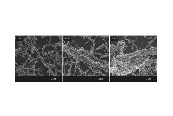 Pesquisadores usam material cerâmico com estrutura cristalina para degradar corantes e inativar bactérias