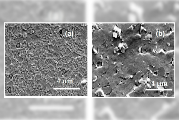 Impedance Spectroscopy Analysis of Field-Assisted SinteredSr- and Mg-Doped Lanthanum Gallate